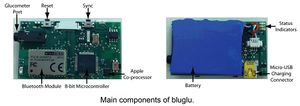 Bluglu Main Components.jpg