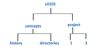 Directory-structure-11.png