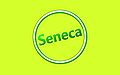Seneca-Wallpaper-35.jpg